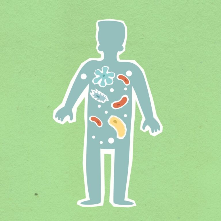 Microbiote intestinal - flore bacterienne sante digestive