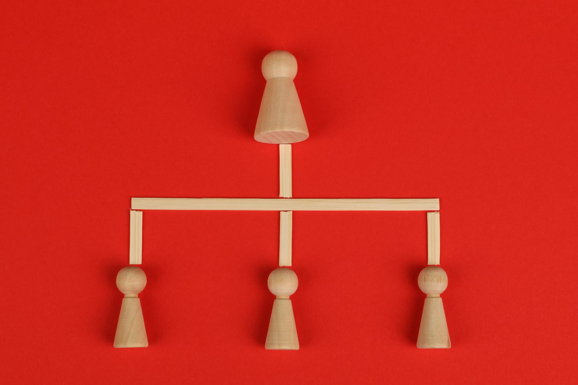 Structure 7 numeros distributeurs organisation branches