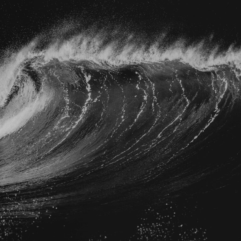 WAVE BUSINESS 7 methode Tsunami structure Enagic
